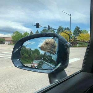 Meet your Posher, Anna